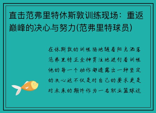 直击范弗里特休斯敦训练现场：重返巅峰的决心与努力(范弗里特球员)