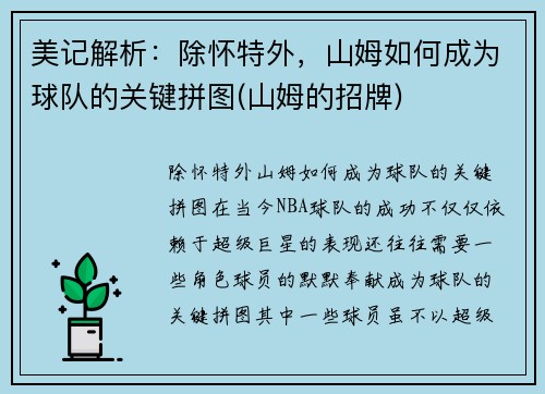 美记解析：除怀特外，山姆如何成为球队的关键拼图(山姆的招牌)